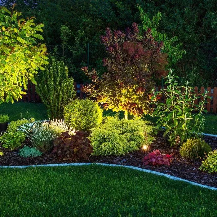 Création de jardin à Saint-Vincent-du-Pendit