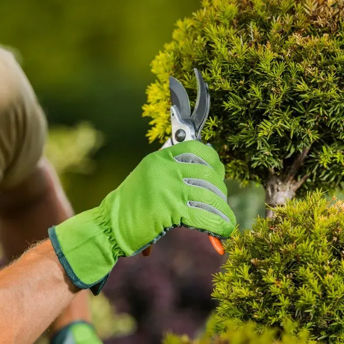 Entretien de jardin à Saint-Vincent-du-Pendit