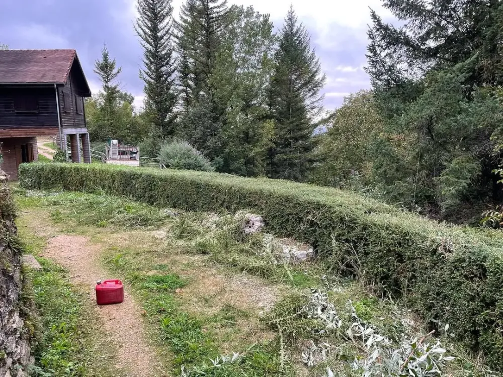 Taille de haies à Saint-Vincent-du-Pendit